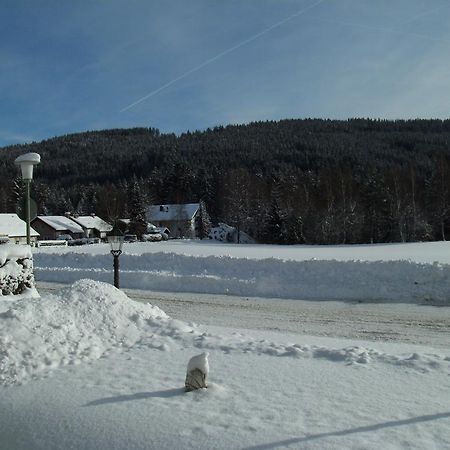 Hotel Rheingold Garni Titisee-Neustadt Eksteriør bilde